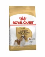 royal-canin-cavalier-king-charles-adult-3kg
